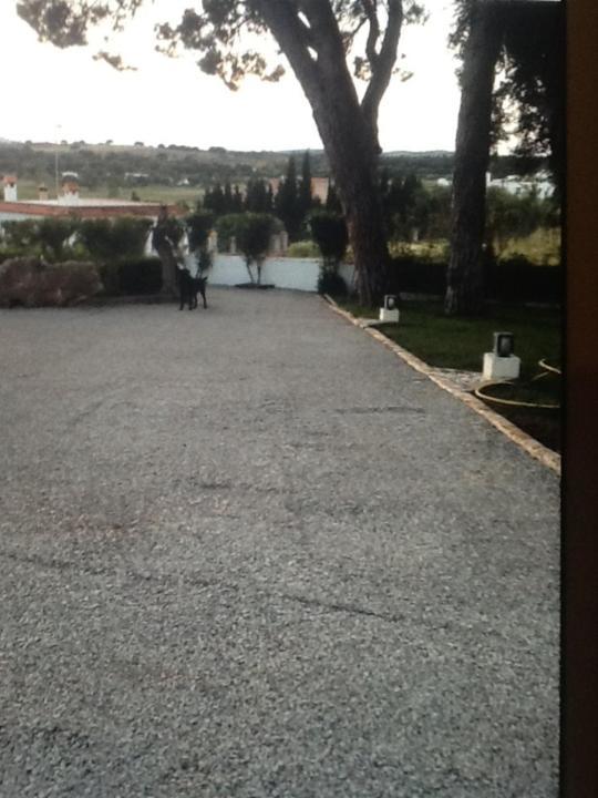 Casa Las Ciguenas Daire Vejer de la Frontera Dış mekan fotoğraf