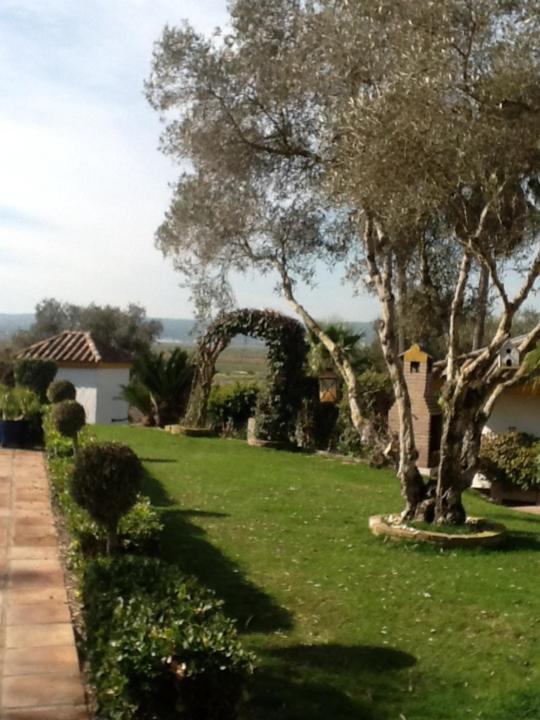 Casa Las Ciguenas Daire Vejer de la Frontera Dış mekan fotoğraf