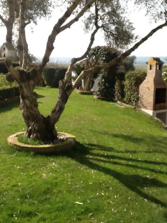 Casa Las Ciguenas Daire Vejer de la Frontera Dış mekan fotoğraf