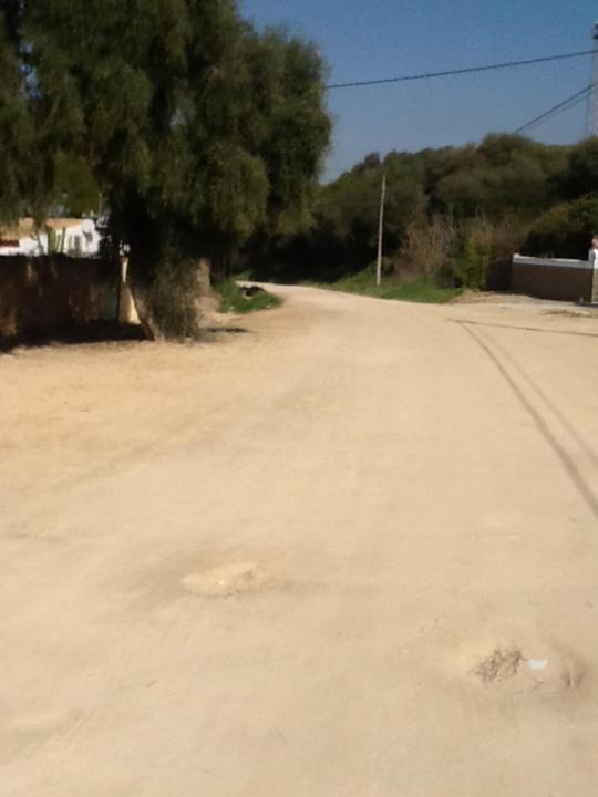 Casa Las Ciguenas Daire Vejer de la Frontera Dış mekan fotoğraf