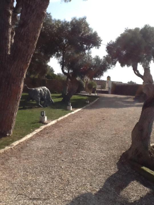 Casa Las Ciguenas Daire Vejer de la Frontera Dış mekan fotoğraf